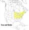 A Field Guide to Trees and Shrubs: Northeastern and north-central United States and southeastern and south-centralCanada