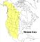 A Field Guide to Western Trees: Western United States and Canada