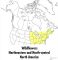 A Field Guide to Wildflowers: Northeastern and North-central North America