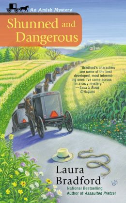 Shunned and Dangerous (Amish Mystery Series #3)