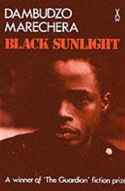 Black Sunlight