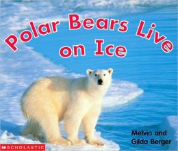 Polar Bears Live On Ice