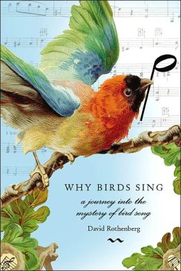 why birds sing a journey into the mystery of bird song by why birds sing a journey into the mystery of bird song by