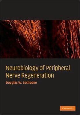 Neurobiology of Peripheral Nerve Regeneration Douglas W. Zochodne