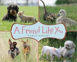 A Friend Like You