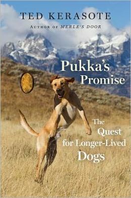 Pukka's Promise: The Quest for Longer-Lived Dogs Ted Kerasote