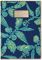 Lilly Pulitzer Falling in Love