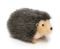 Hillary Hedgehog