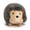 Hillary Hedgehog