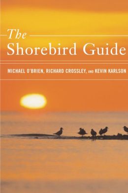 The Shorebird Guide Michael O'Brien