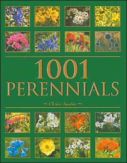 1001 Perennials