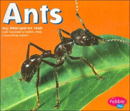 Ants (Bugs, Bugs, Bugs! Series)