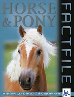 Horse and Pony Factfile