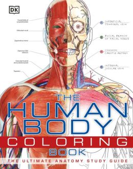 The Human Body Coloring Book DK Publishing