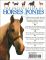 The Encyclopedia of Horses & Ponies