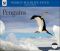 2008 Penguins WWF Wall Calendar
