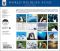 2008 Penguins WWF Wall Calendar