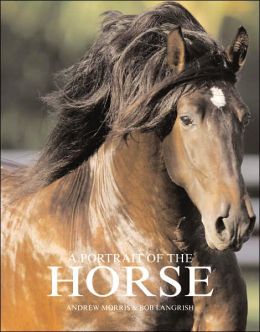 A Portrait of the Horse