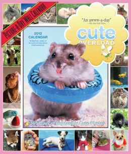 2012 Cute Overload: 365 Days of Impossibly Cute Photos Picture-A-Day Wall Calendar