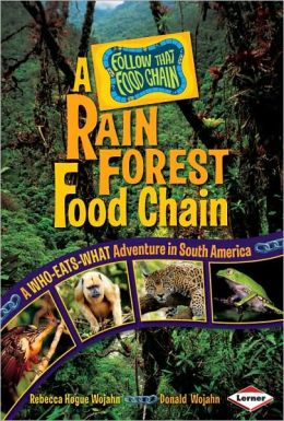 A Rain Forest Food Chain