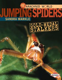 Jumping Spiders: Gold-Medal Stalkers