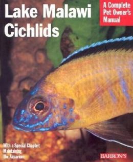 Lake Malawi Cichlids