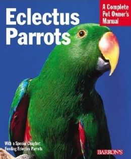 Eclectus Parrots: Everything about Purchase, Care, Feeding, and Housing