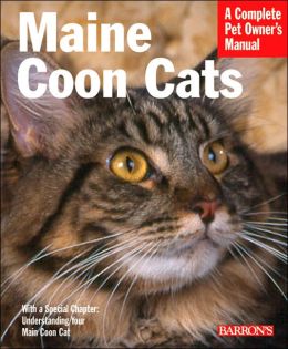 Maine Coon Cats: Everything about Purchase, Care, Nutrition, Health, and Behavior