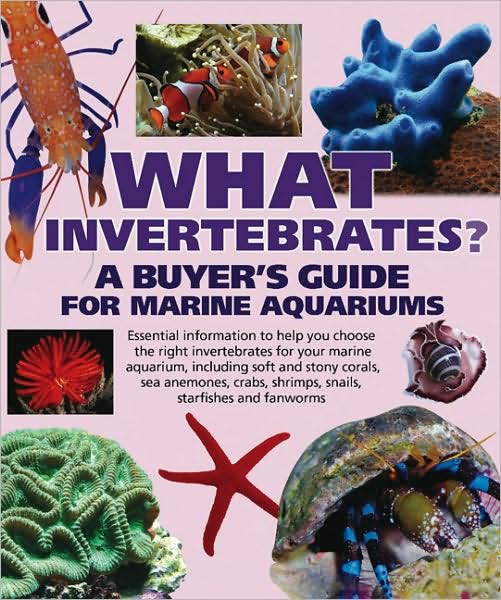 What Invertebrates?: A Buyer's Guide for Marine Aquariums