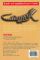 Bearded Dragons (Reptile and Amphibian Keeper's Guides Series)