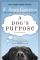 A Dog's Purpose