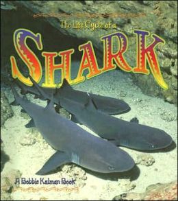 The Life Cycle of a Shark John Crossingham and Bobbie Kalman