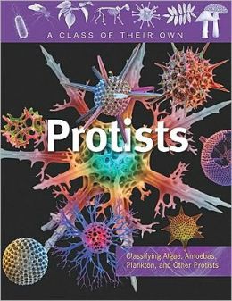 Protists