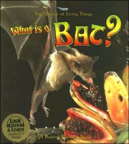 What Is a Bat?