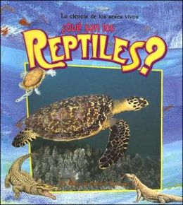 Que Son Los Reptiles? (What Are Reptiles?)
