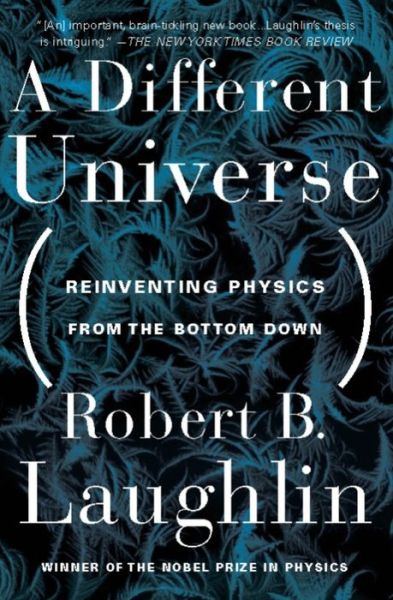 A Different Universe: Reinventing Physics From the Bottom Down