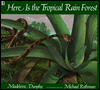Here Is the Tropical Rain Forest