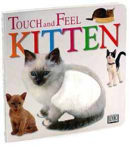 Kitten