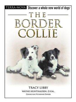 Border Collie (Terra Nova Dog Breed Series)