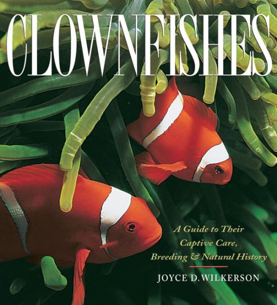 Clownfishes