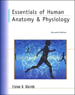 Essentials Of Human Anatomy And Physiology / Edition 7 By Elaine Marieb ...