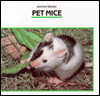 Pet Mice