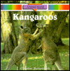 Kangaroos
