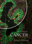 Book Cover Image. Title: The Biology of Cancer, Author: Robert A. Weinberg