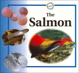 The Salmon (Life Cycles) Sabrina Crewe and Colin Newman