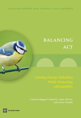 Balancing Act: Cutting Energy Subsidies while Protecting Affordability