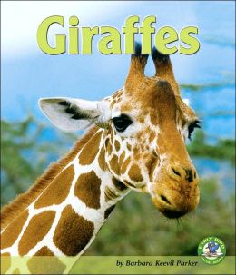 Giraffes