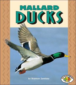 Mallard Ducks (Pull Ahead Books) Shannon Zemlicka and Shannon Knudsen