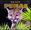 Pumas: Big Cats