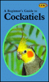 A Beginner's Guide to Cockatiels